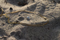 The Malibu Micro-Bead Choker